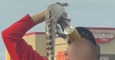 Teenager who 'forced baby alligator to drink beer' arrested on animal cruelty charges