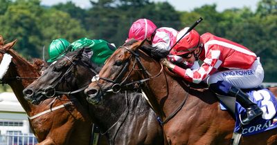 Claim your free horse racing tickets in association with Racing TV