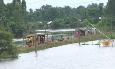 Assam flood: Situation improves, over 20,000 people still affected