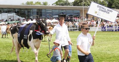 Castle Douglas farmers land interbreed dairy title at Royal Highland Show