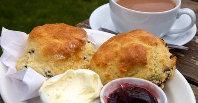 Cream or jam first, milk in tea and red or brown sauce all fixed by Amazon