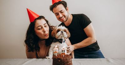 Top signs your dog is part of your family - including celebrating their birthday