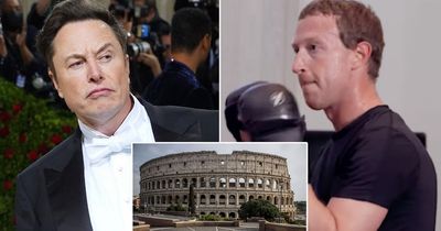 Elon Musk vs Mark Zuckerberg UFC fight could be held in Rome's Colosseum