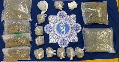 Gardai seize drugs worth €100,000 in north Dublin