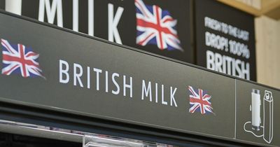 Aldi cuts price of its milk by up to 10p