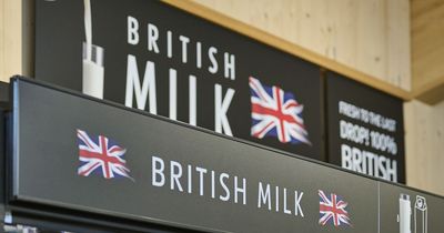 Aldi announces cuts to the price of its milk