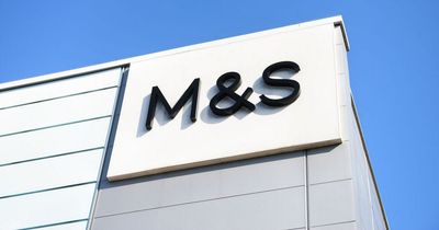 M&S fans praise 'waist-cinching' £25 cotton dress that 'hides lumps and bumps'