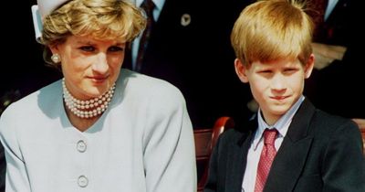 Prince Harry follows in Diana's footsteps with huge new Netflix project without Meghan