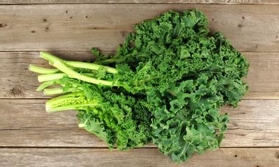 New report finds most US kale samples contain ‘disturbing’ levels of ‘forever chemicals’