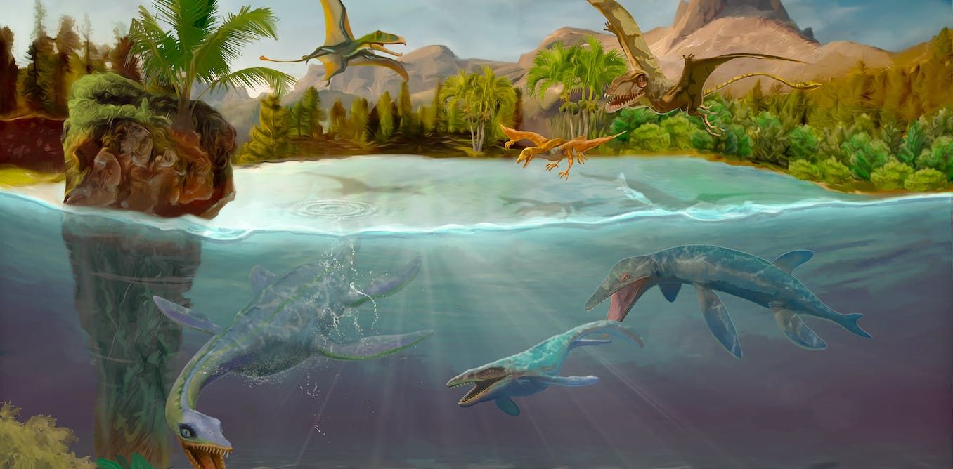 Tooth analysis confirms the megalodon - a huge ancient shark - was