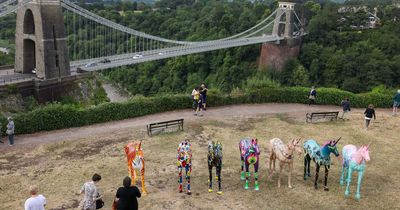 Unicornfest defends trail locations as South Bristol misses out again