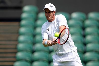 Andy Murray to face Ryan Peniston in Battle of Britain at Wimbledon