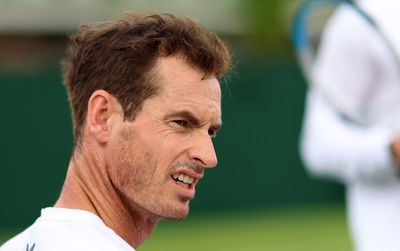 Andy Murray to face fellow Brit in Wimbledon first round