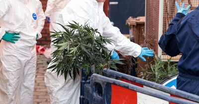 Drop in North Ayrshire drug supply charges as cannabis farms decrease