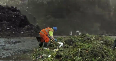 Free caddy liners for food and garden waste to stop by the end of the week in Greater Manchester borough