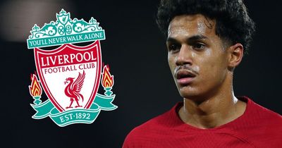 Fabio Carvalho joins RB Leipzig from Liverpool on loan