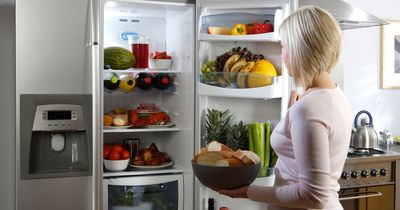 Head chef explains whether mayonnaise, eggs and chocolate go in the fridge