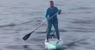 Horror moment shark stalks paddleboarder who has no idea predator is circling her