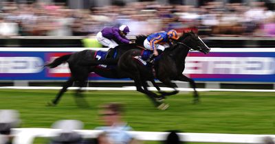 Odds-on Irish Derby favourite Auguste Rodin has just 2% chance to complete double, according to historical data