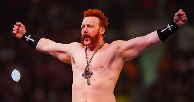 WWE star Sheamus pokes fun at Ryan Tubridy while fighting at Dublin's 3Arena