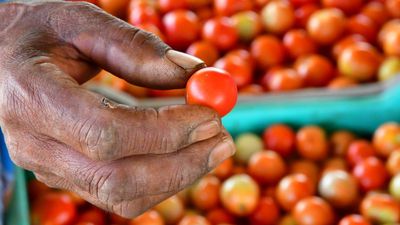 Centre invites ideas from public to curb tomato prices