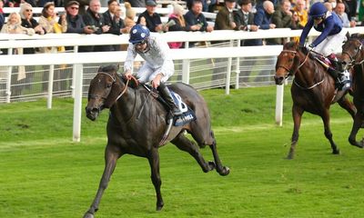 Talking Horses: Post Impressionist can deliver in Northumberland Plate