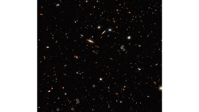 Webb Image Reveals Numerous Galaxies Strung in a Line Along the Ancient Cosmic Web