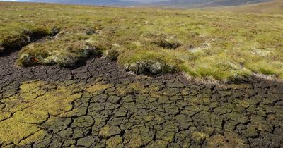 Scotland drought alert as more areas hit 'highest possible' scarcity levels