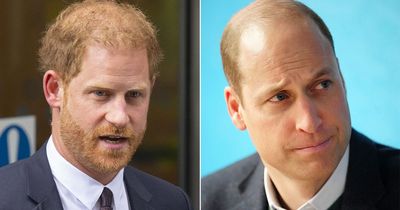 Princes William and Harry join forces as they deliver emotional message amid fallout