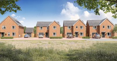 Developer launches first properties for sale at Northumberland housing estate