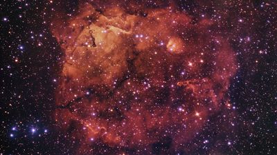 Can you see the cosmic 'cat' grinning into one of the world's largest telescopes in this photo? (video)