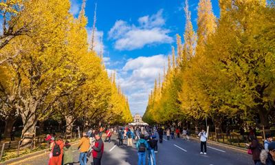 ‘Tokyo would lose its soul’: anger over plans to redevelop historic city park