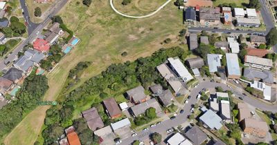 'Sounds of explosions' as firefighters extinguish car fire in Newcastle