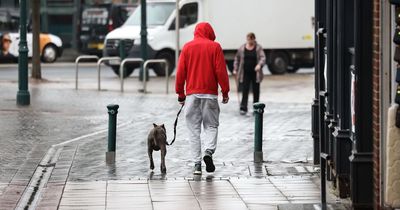 'You can see the misery in people at food prices in this town. It follows them'