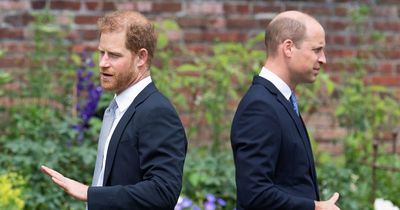 Prince Harry and William urged to make amends and end their 'bitter battle'