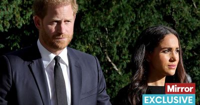 Meghan and Harry 'will explore other opportunities' as the Duke is set to go it alone