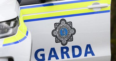Teenage boy killed in horror Cork crash as five others rushed to hospital
