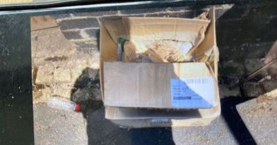 Student fined £400 for flytipping - after leaving two cardboard boxes next to bin