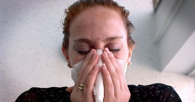 Hay Fever 'red flag' symptom can often be confused with something else, experts warn