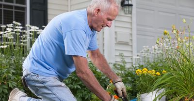 Gardening and eating a varied diet are top ways to maintain independence over age of 65