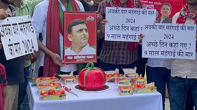 Samajwadi Party workers cut tomato-shaped cake on Akhilesh Yadav's birthday