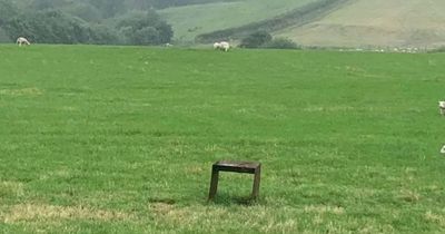 Tourist on camping trip to Wales complains about 'bleating' sheep in the fields