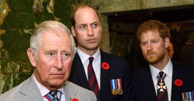 Princes William and Harry join forces as they deliver emotional message following fallout