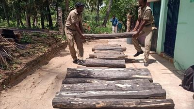 Red sanders logs weighing over 1 tonne seized from farm near Ambur town