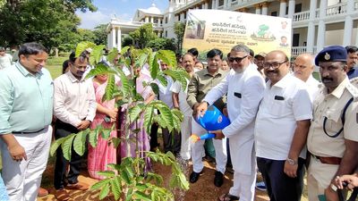 Vana Mahotsav launched to increase green cover across Mysuru region