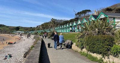 Access to free seaside tennis courts might change following complaints about damage and inappropriate use