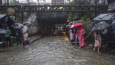 Crowdsourced data from Twitter help identify flooded areas in real time