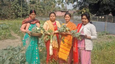 Assam school farms fish, fruits for midday meals