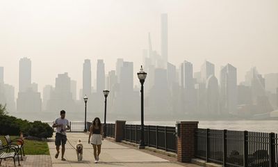 New Yorkers baffled by tiny flying bugs swarming city in wake of smoke