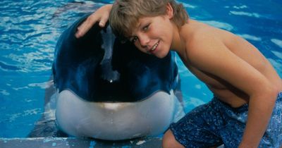 Where Free Willy cast are now – prison stint, Bond role and tragic fate of killer whale